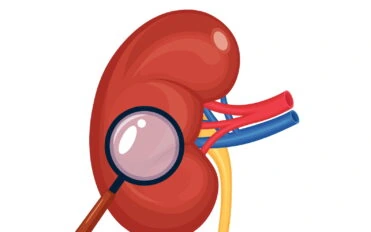Kidney with magnifying glass. Diagnosis, exam of internal organ. Renal diseases