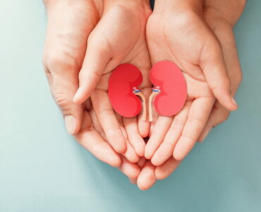 Adult and child holding kidney shaped paper, world kidney day, National Organ Donor Day, charity donation concept
