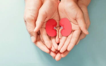 Adult and child holding kidney shaped paper, world kidney day, National Organ Donor Day, charity donation concept