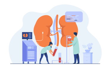 Doctors conducting dialysis procedure for kidney treatment. Vector illustration for patient hemodialysis, healthcare, blood transfusion, internal injection, kidney disease concept
