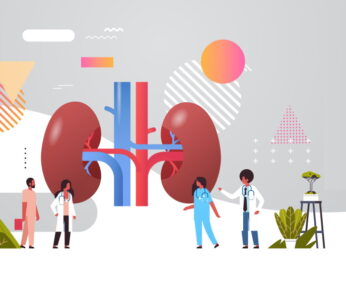 doctors team inspecting checking kidneys human internal organ examination healthcare medicine concept full length copy space horizontal vector illustration