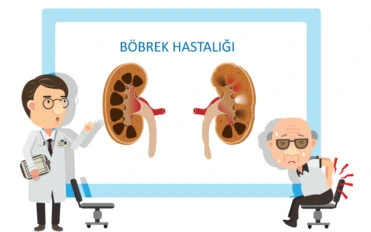 ülkemizde böbrek yetmezliği